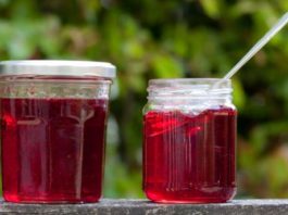 Redcurrant And Mint Jelly