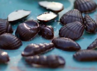 Seashell Caramels